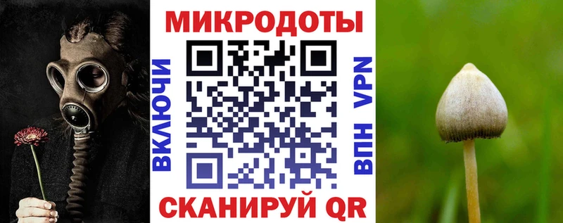 Псилоцибиновые грибы Psilocybe  Кунгур 